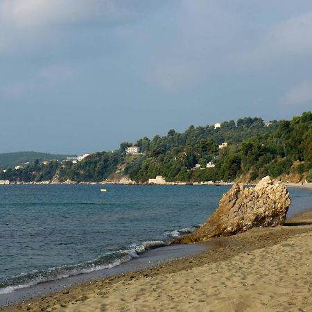 Aphrodite Skiathos Megali Ammos (Skiathos) Exterior foto