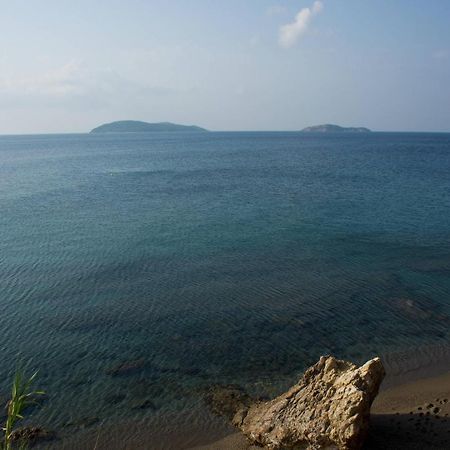 Aphrodite Skiathos Megali Ammos (Skiathos) Exterior foto