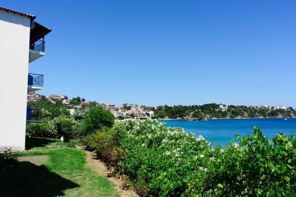 Aphrodite Skiathos Megali Ammos (Skiathos) Exterior foto