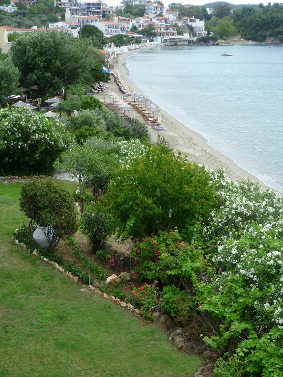 Aphrodite Skiathos Megali Ammos (Skiathos) Exterior foto