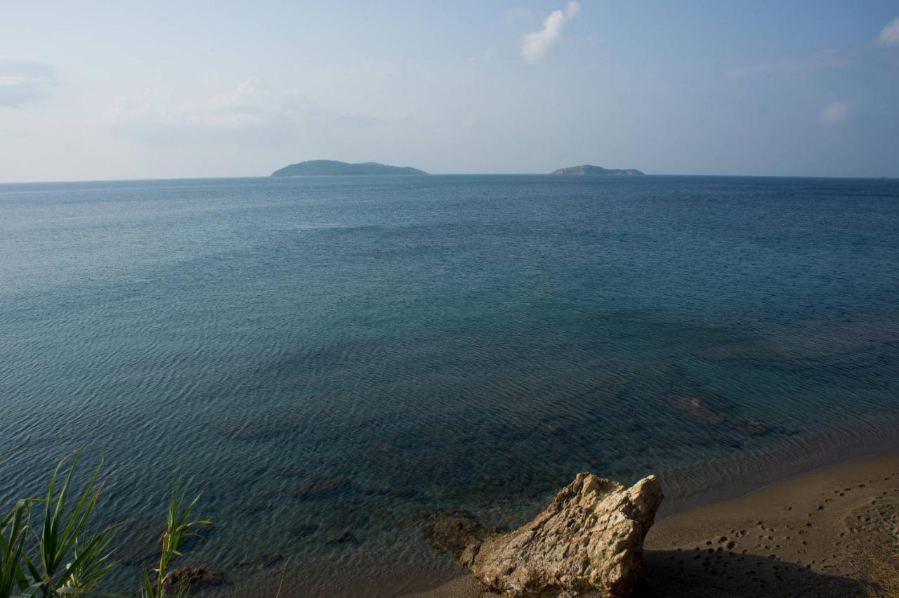 Aphrodite Skiathos Megali Ammos (Skiathos) Exterior foto